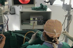 Endoscopic ear surgery 2018