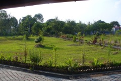 Garden 2019